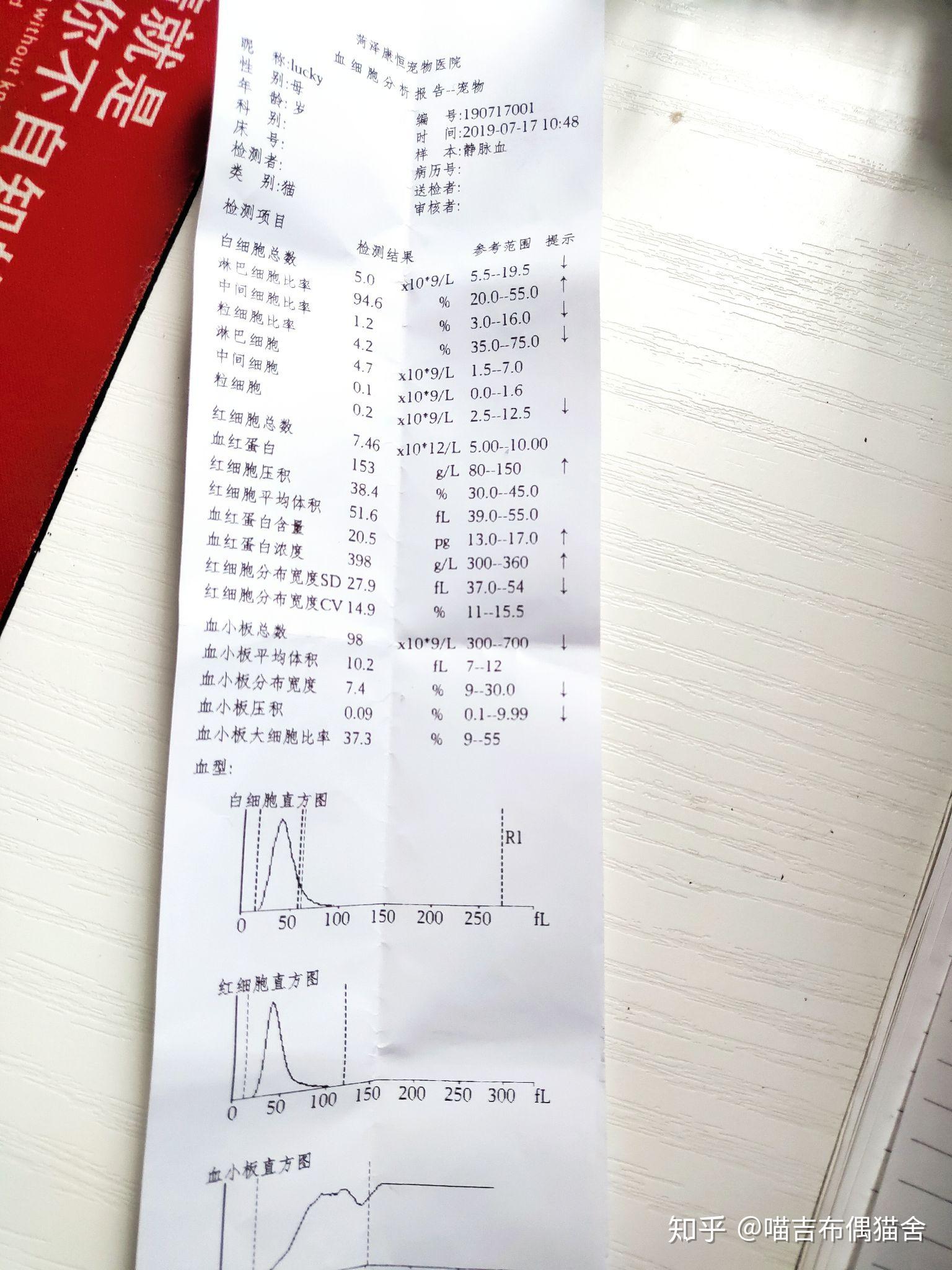 lucky抵抗猫瘟实时记录