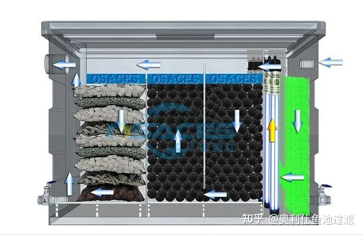 鱼池过滤系统中什么样的生物滤仓更利于微生物的生长