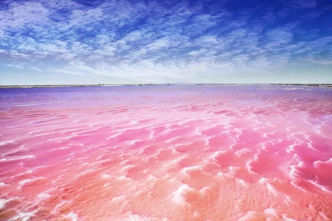 粉红湖拍摄秘诀:天时&地利