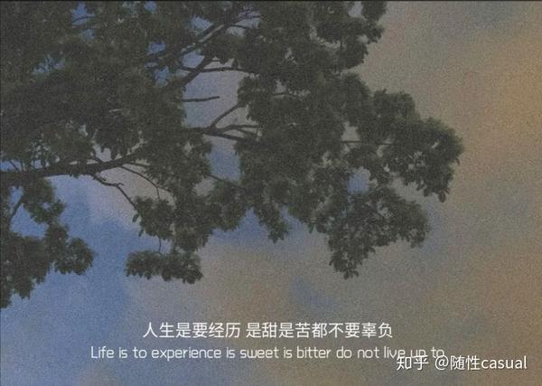 适合你的文案100句(适合你的治愈文案)