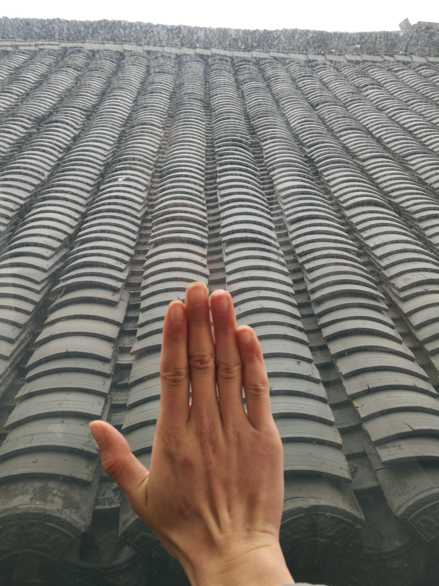 科幻影视剧系列《星际迷航》中的瓦肯手势真的