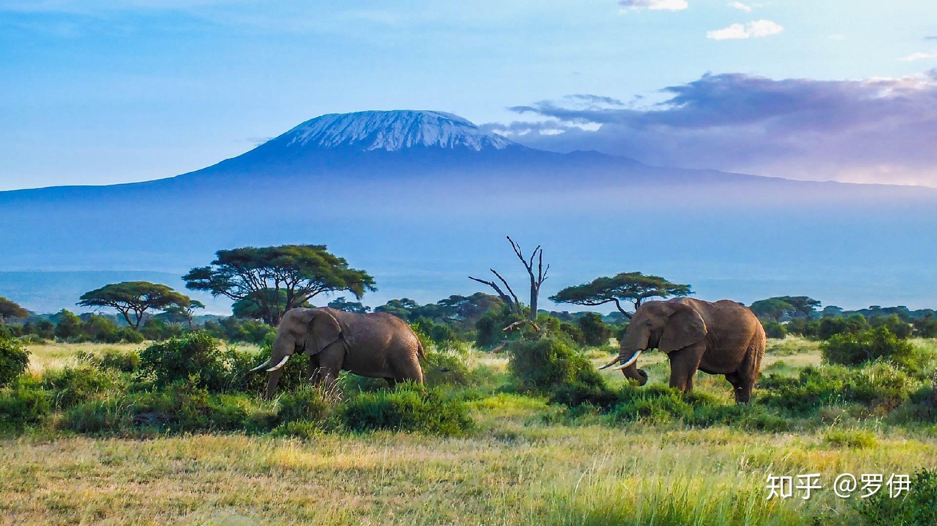 肯尼亚旅游指南kenyatravelguide