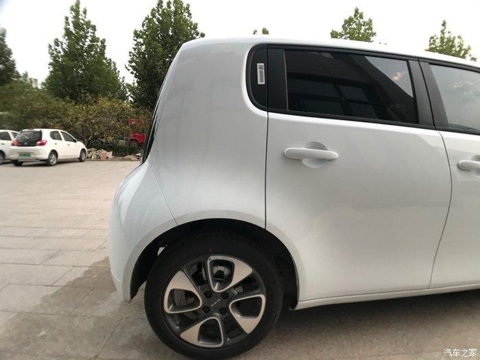 穿梭在城市间的白色精灵欧拉白猫给我带来大好心情