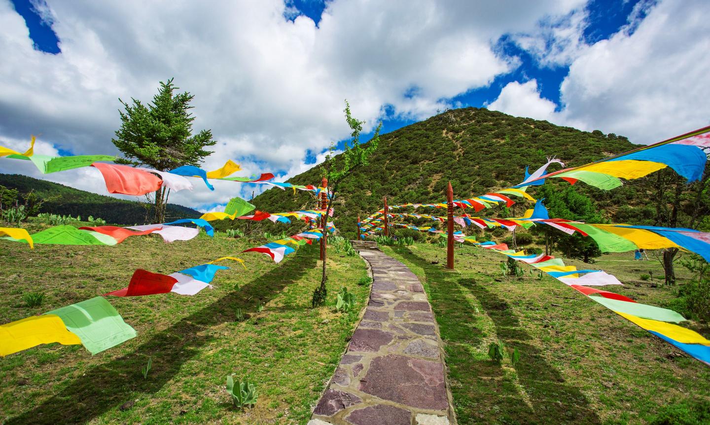 丽江大理三日游不仅仅是古城还有森林