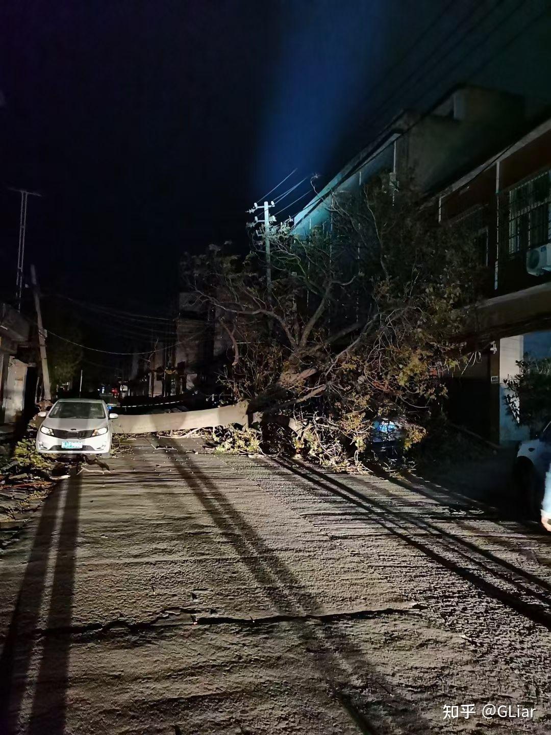 河南11月6日傍晚至夜间大风灾情如何