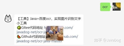 【实操】Java+百度ocr,实现图片识别文字小工具 - 知乎
