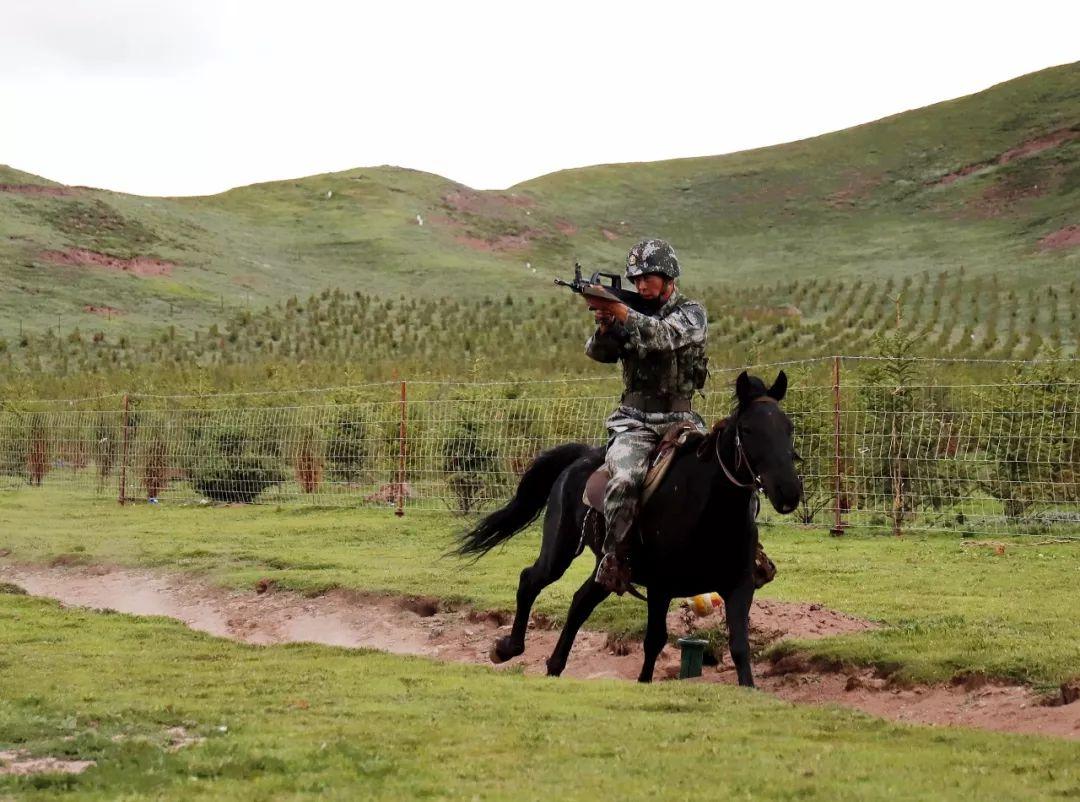 聚焦这是最后的骑兵