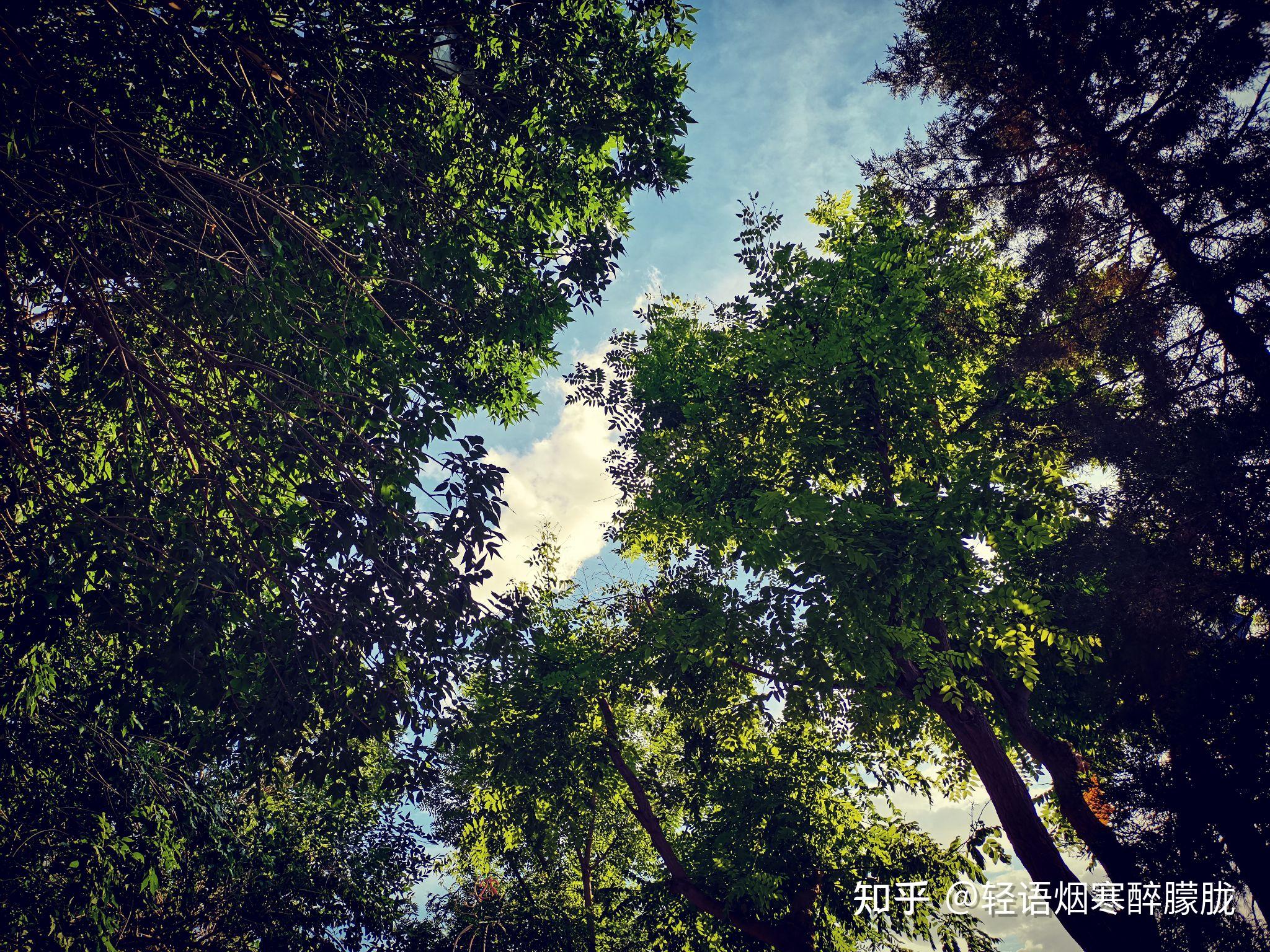 烈日當空,太陽釋放最大的熱量考驗著這世間萬物;熱氣騰騰,如同即將