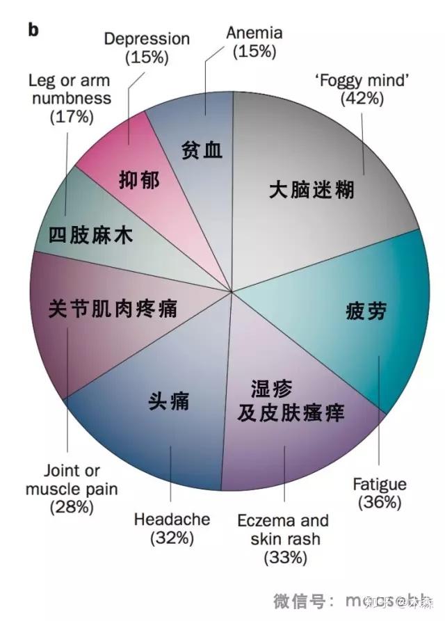 v2-6f2b37c19bec27d90988bf8da533bc0d_r.jpg