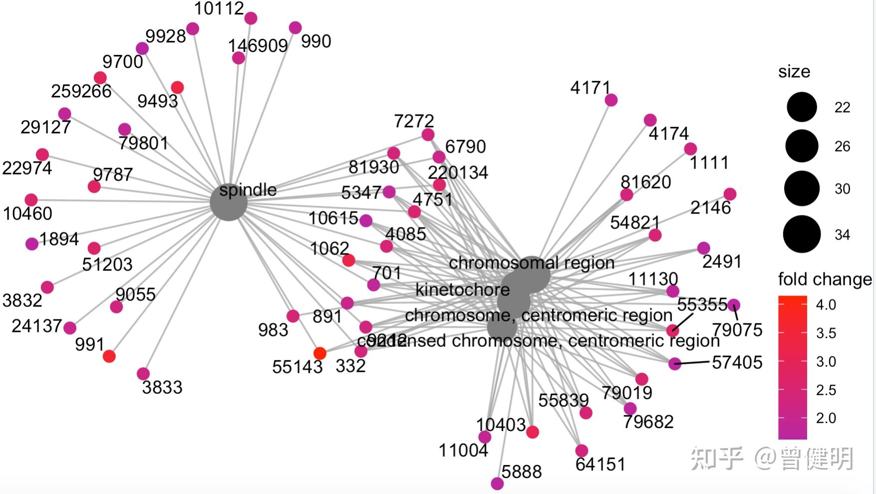 Cnetplot Go 让你的基因有名字 - 知乎