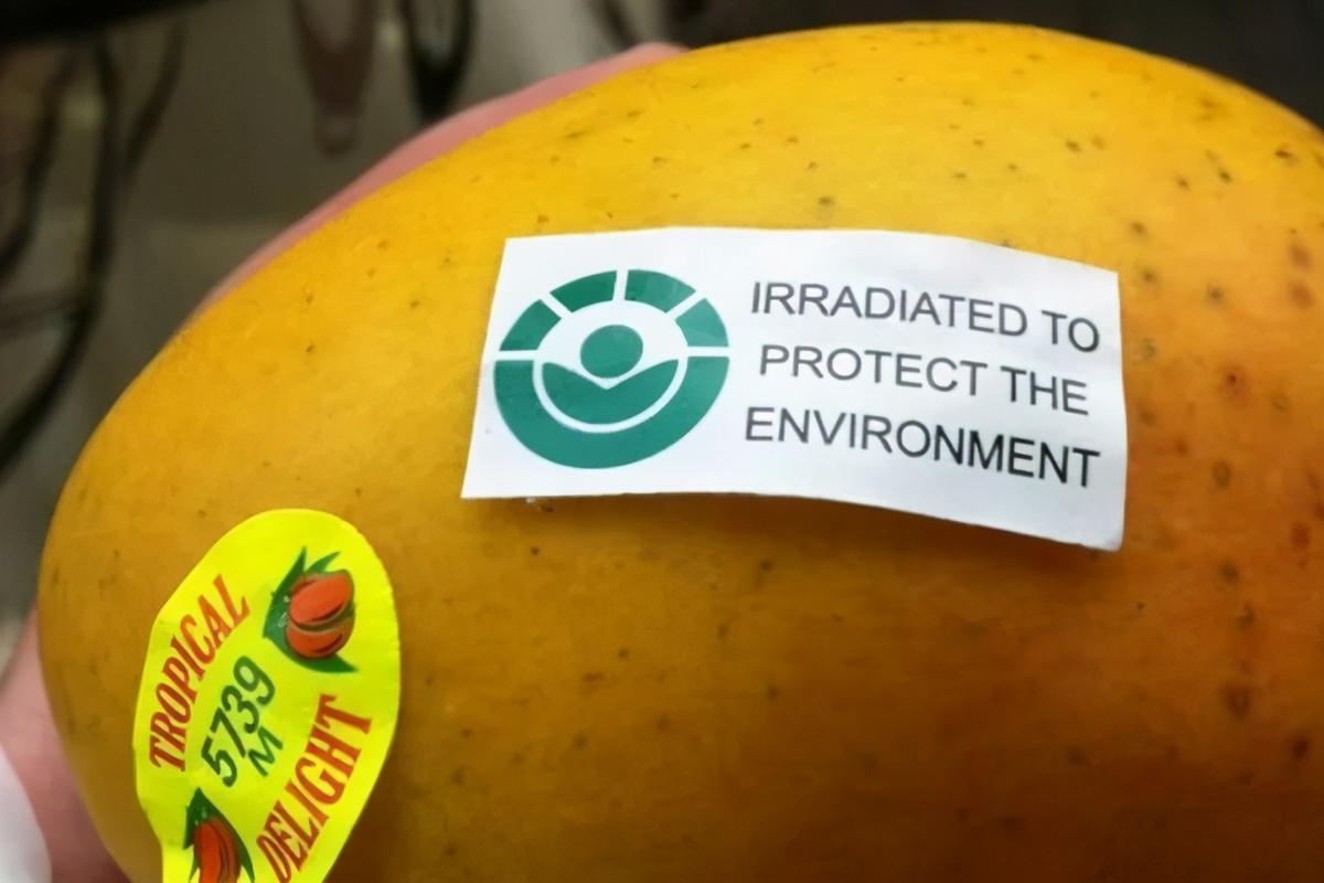 贴有辐照食品标识的水果商业上用于辐照杀菌的γ射线源一般是放射性