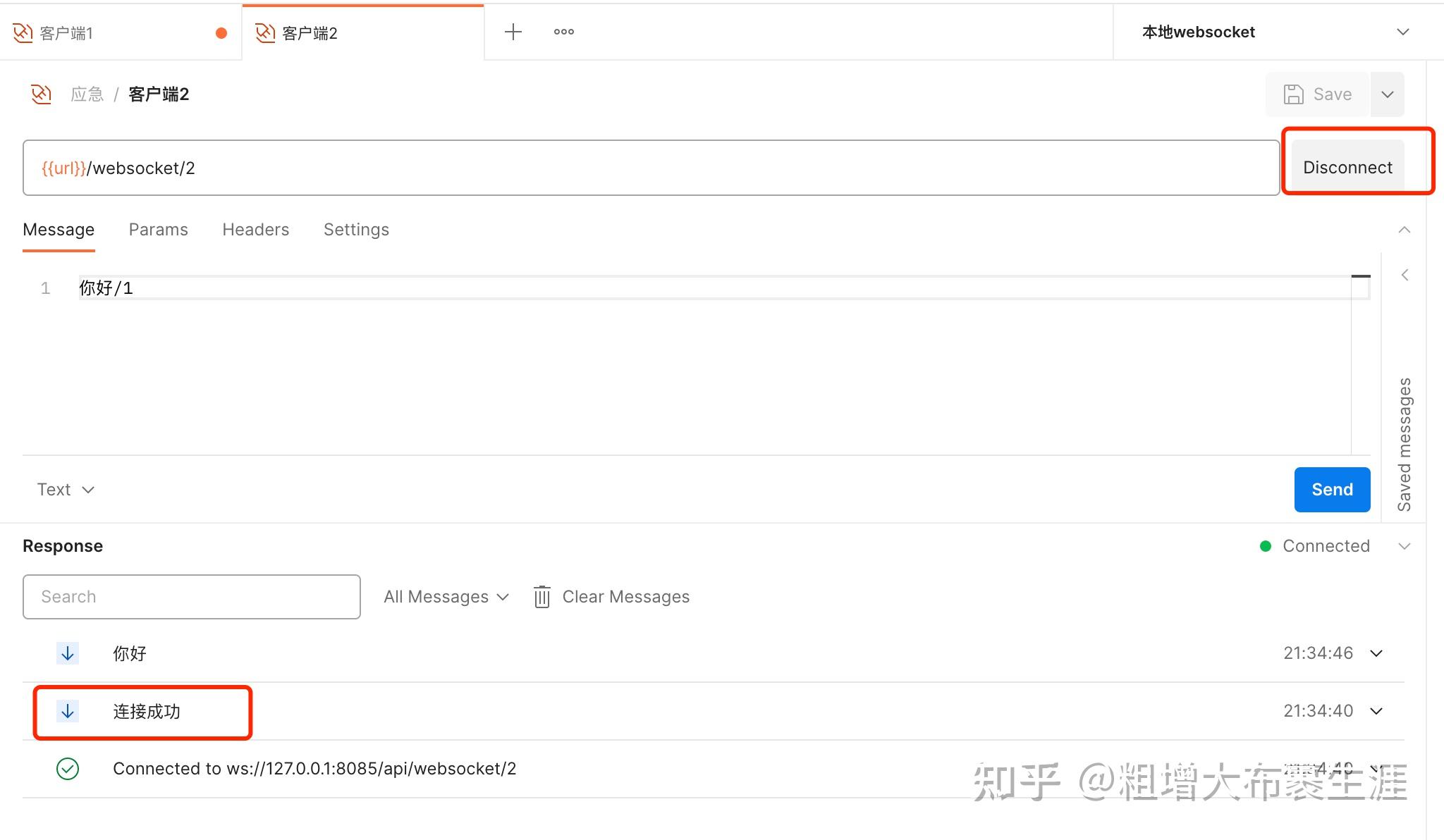 WebSocket Websocket