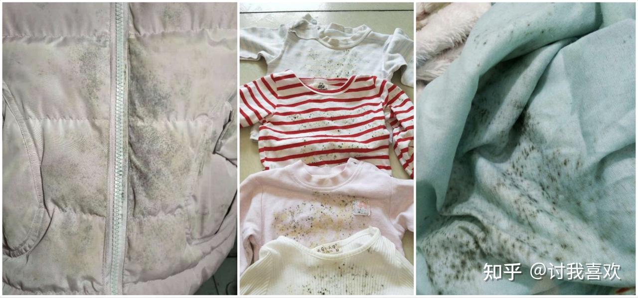 又是一年回南天除湿防潮必备好物大推荐