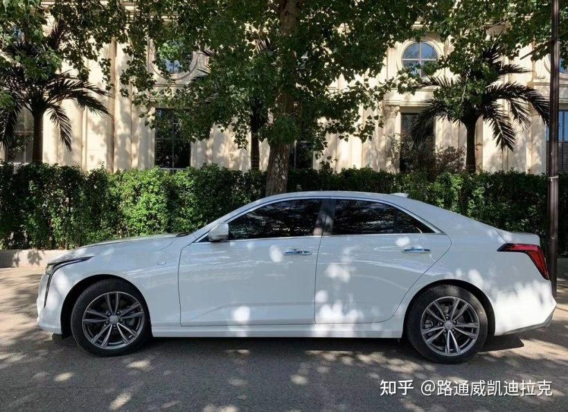 小白兔白又白ct4车主一起来