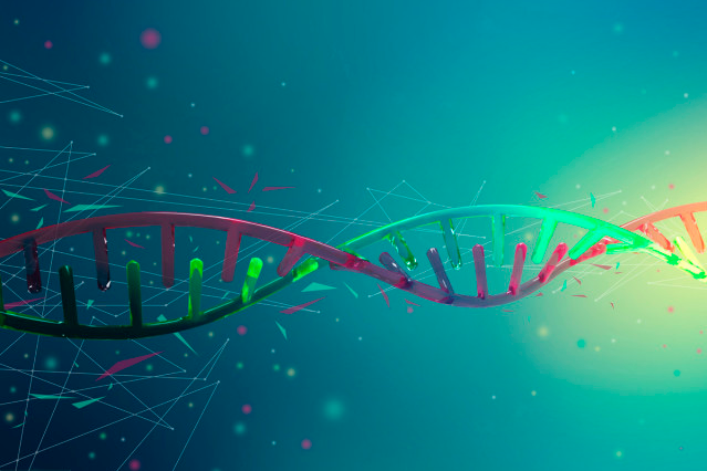 每天用Mybatis,但是Mybatis的工作原理你真的知道吗? 每天用Mybatis,但是Mybatis的工作原理你真的知道吗?