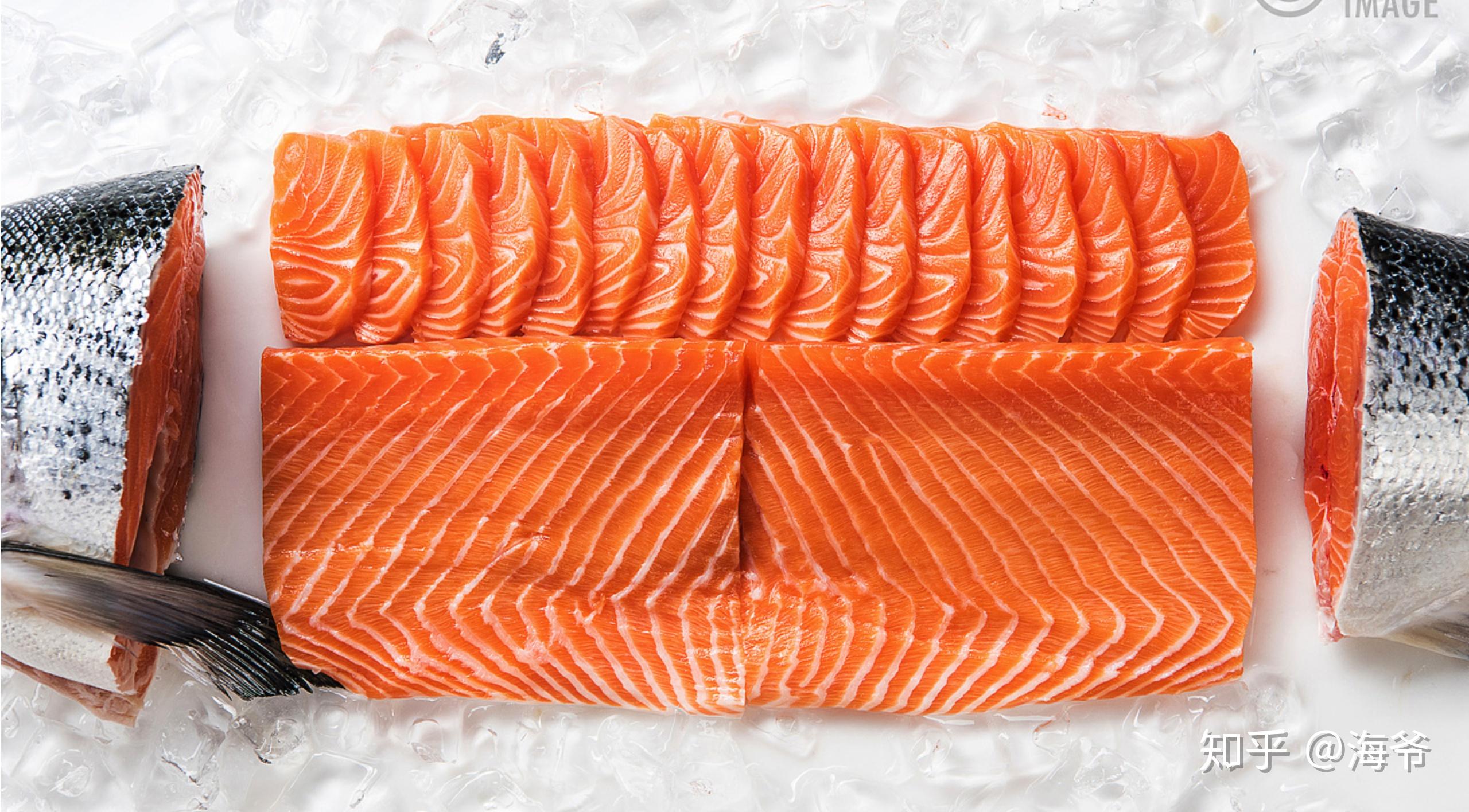 关于三文鱼,来听听业内人的长篇大论? - 知乎