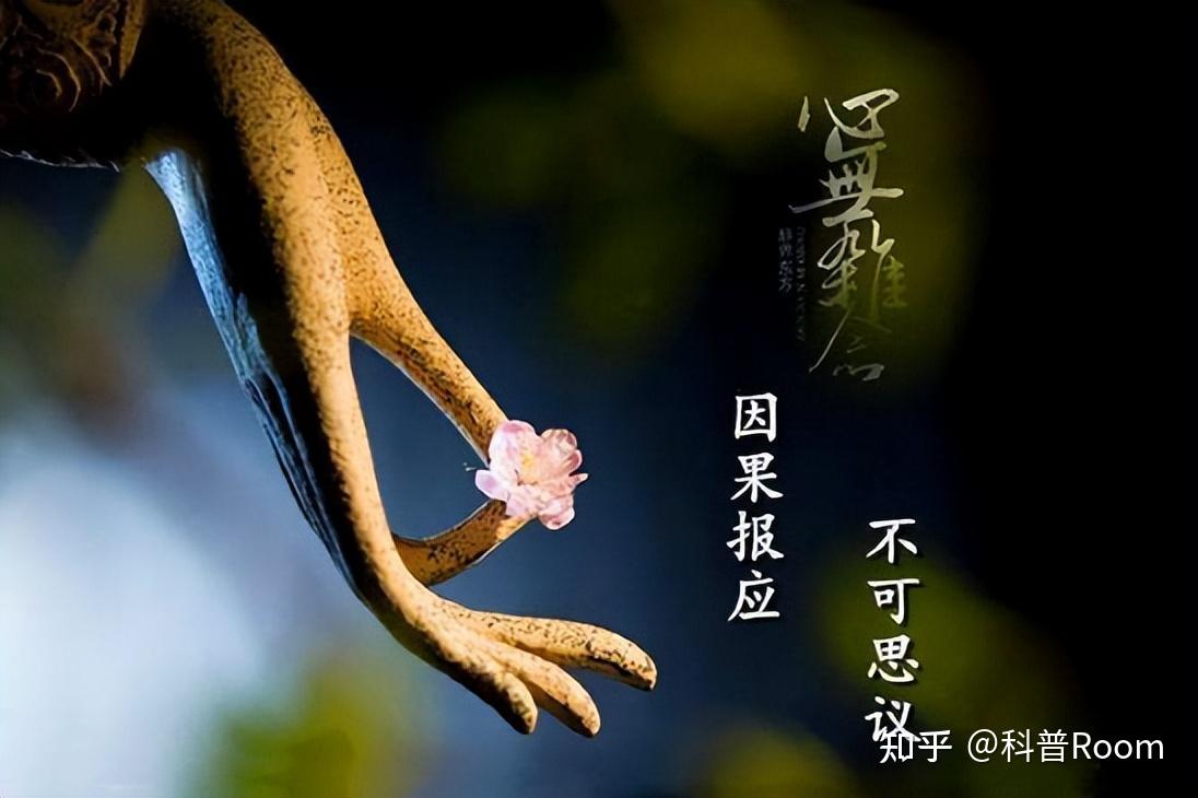 因果报应六道轮回，你的“前世”是谁？“来生”又将何去何从？ - 知乎