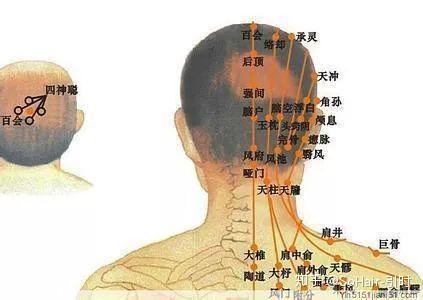 头疗全息反射区图图片