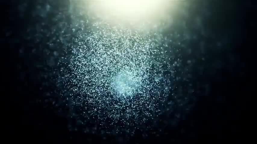 今日散打教学视频--前滚翻#全民习武#