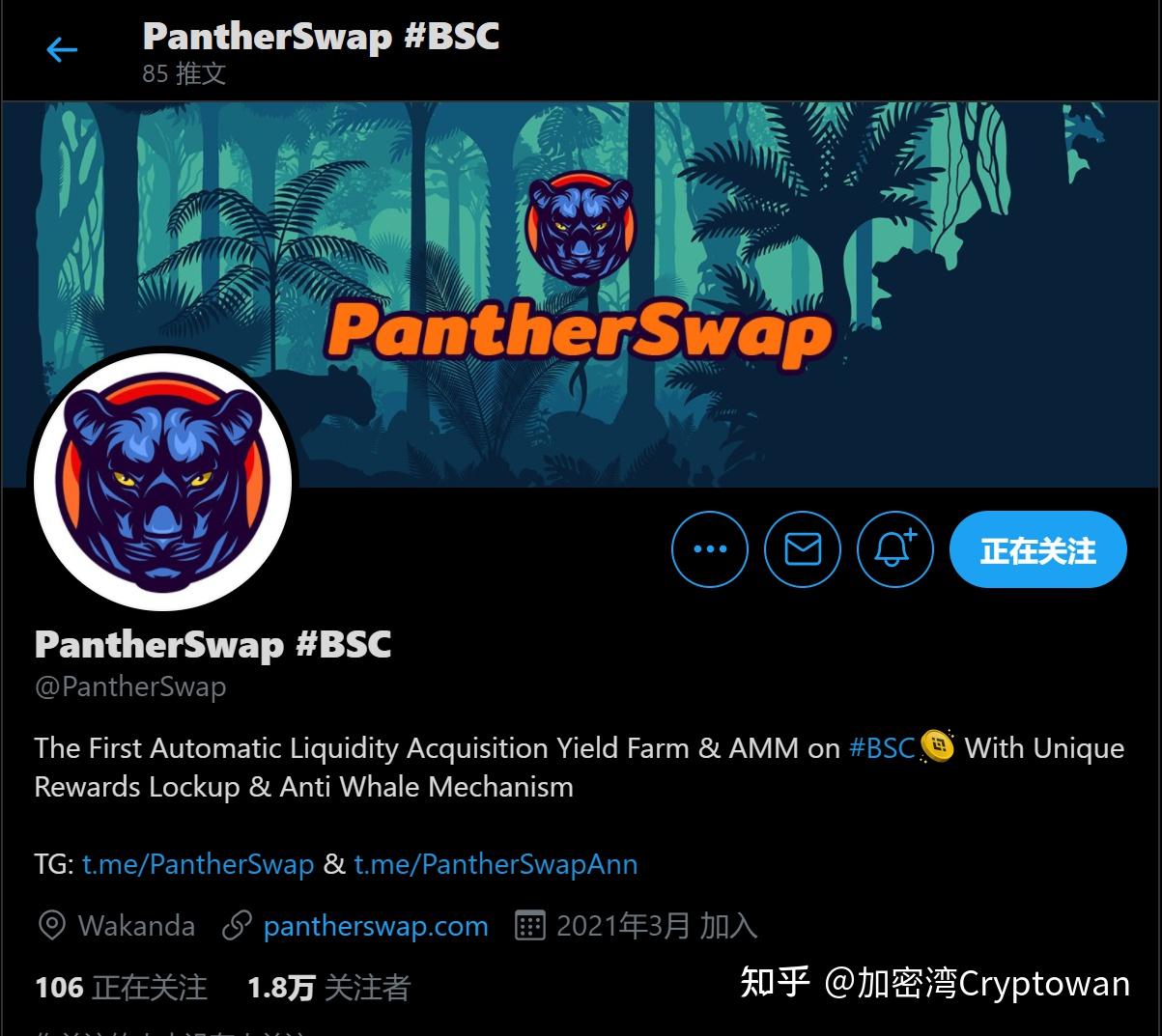 bsc新矿推荐pantherswap附教程