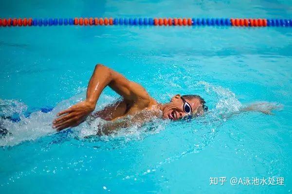 自由泳换气技术千万种背熟这7点就可以