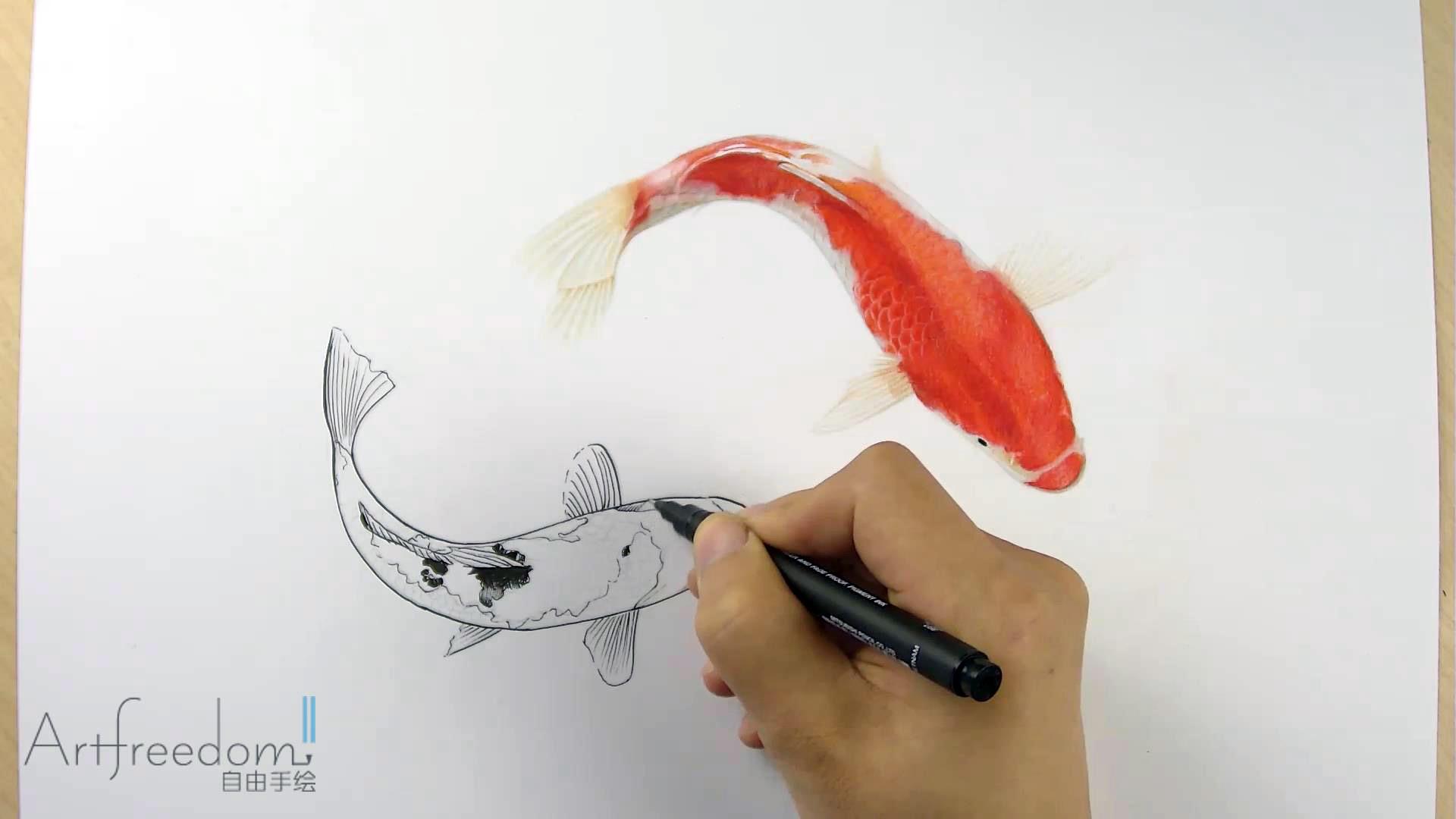 彩铅画条锦鲤给你听说你明天要考四六级