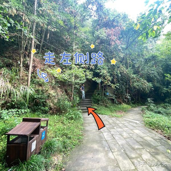 重庆徒步爬山圣地：缙云山免门票上山详细路线指引 - 知乎