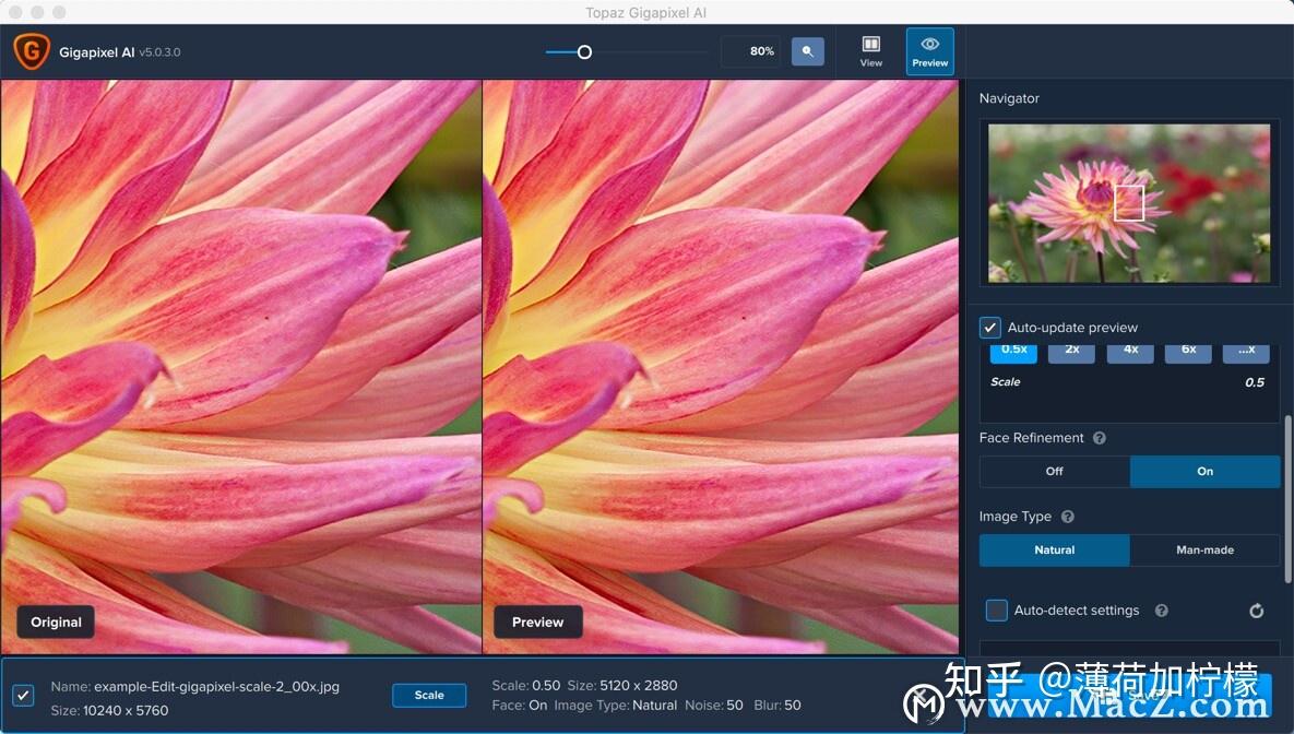 智能清晰放大照片mac工具分享topazgigapixelai