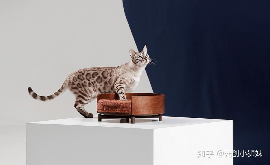 铲屎官们请注意!10款喵喵都说“nice”的猫爬架设计案例分享 - 知乎