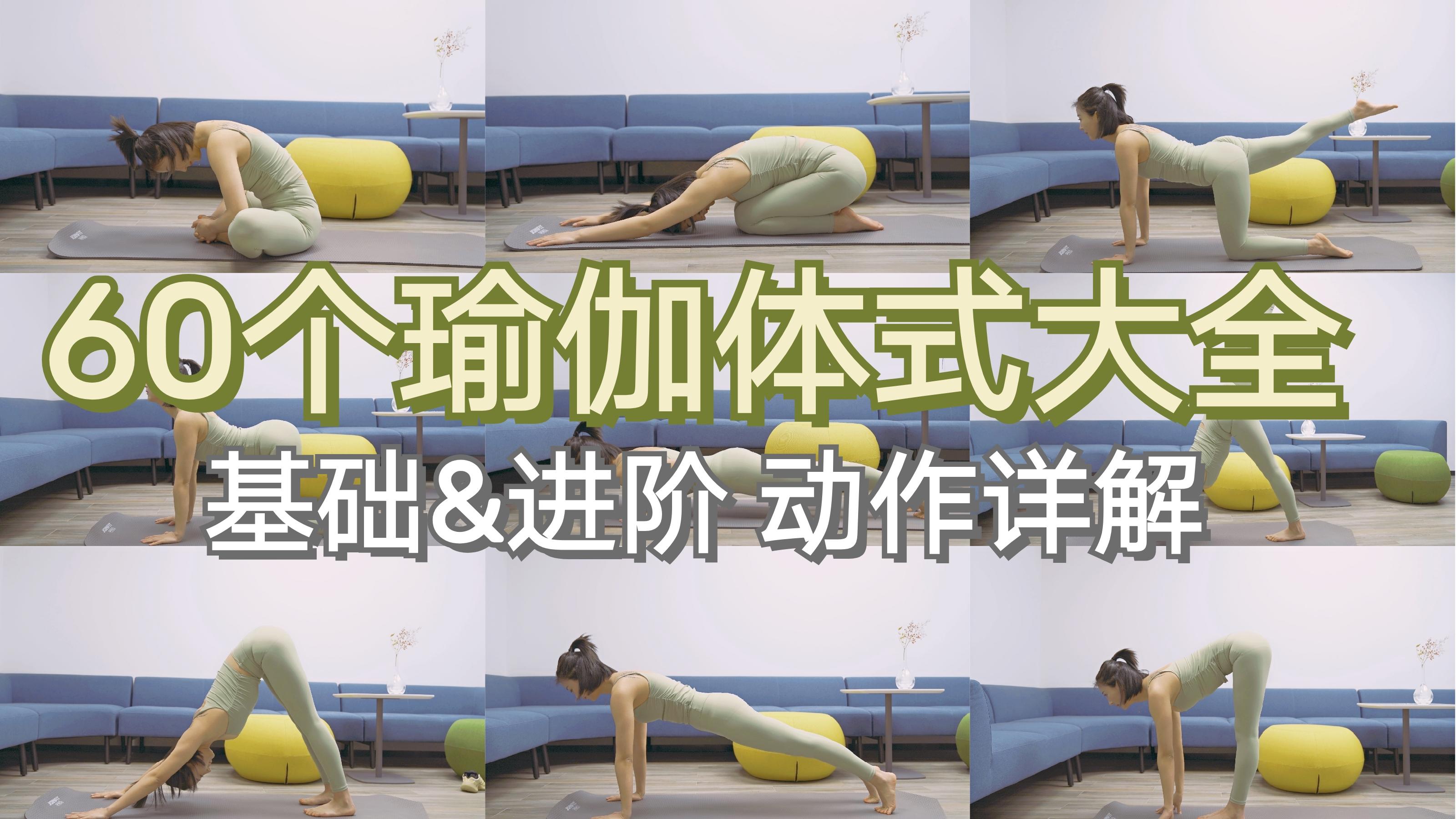 60个瑜伽动作体式大全||基础&进阶体式 - 知乎