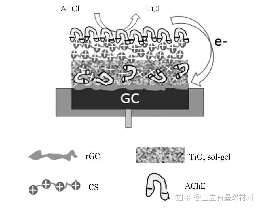 yy.vip易游-药业市场现状与发展趋势分析(2026年)