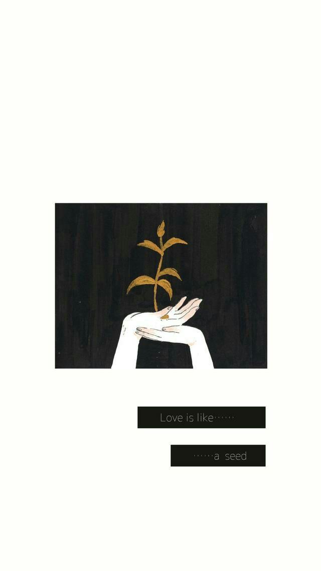 怎么拥有好看的壁纸 v2-702095ab1185de50251027f65df4660d_r.jpg