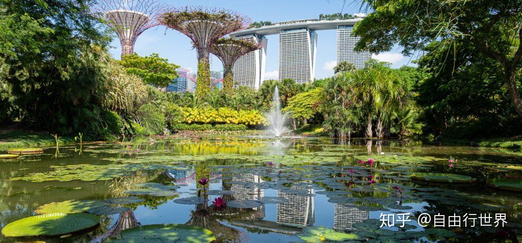 来自未来的花园 - 滨海湾花园 - 知乎