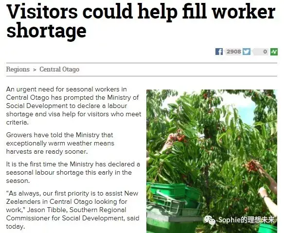 新西兰季节工作签证supplementaryseasonalemployerworkvisasse季节