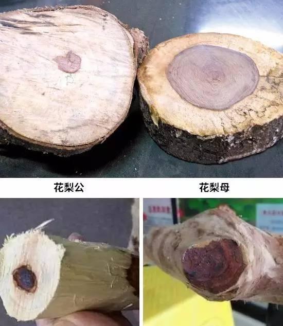 心材大的一般被民间称为"花梨母",心材小的则被称为"花梨公";5,用火烧