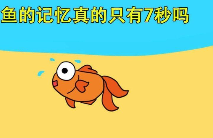 首都经济贸易大学的院校代码_首都经济贸易大学代码_首都经济贸易大学缩写