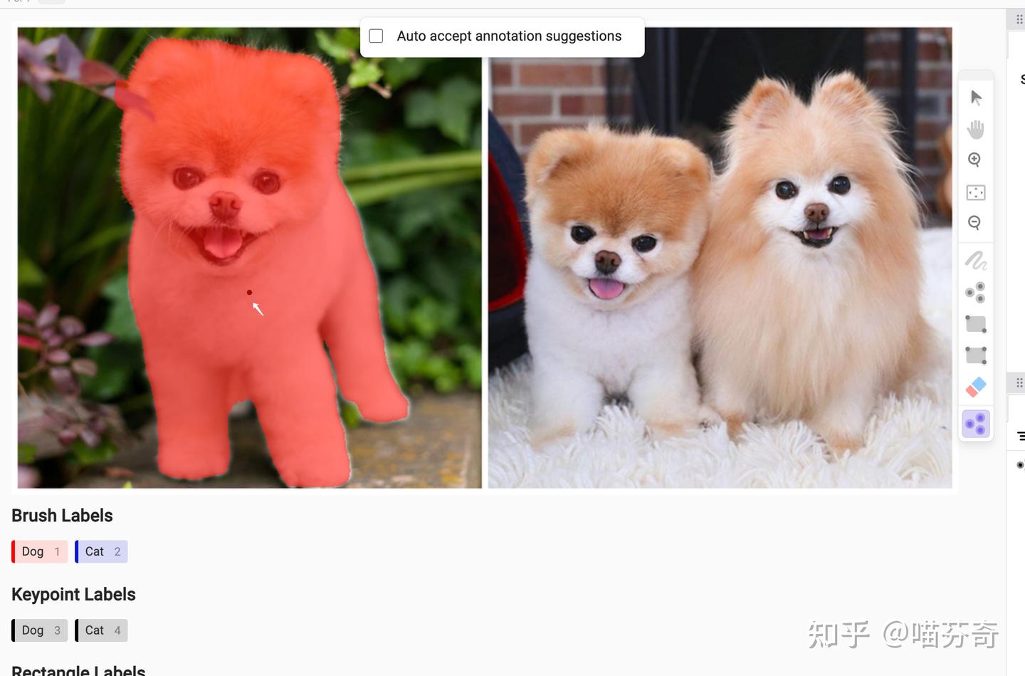 基于SAM和Label Studio搭建半自动实例分割标注平台 - 知乎