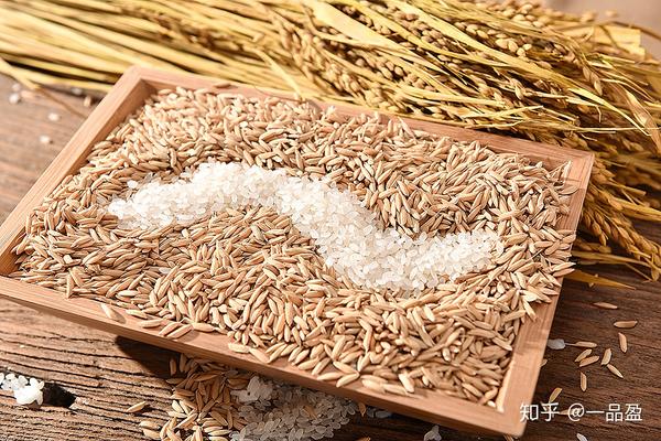 水稻是怎么去壳的 吃了几十年你不一定见过 稻谷去壳 人社网