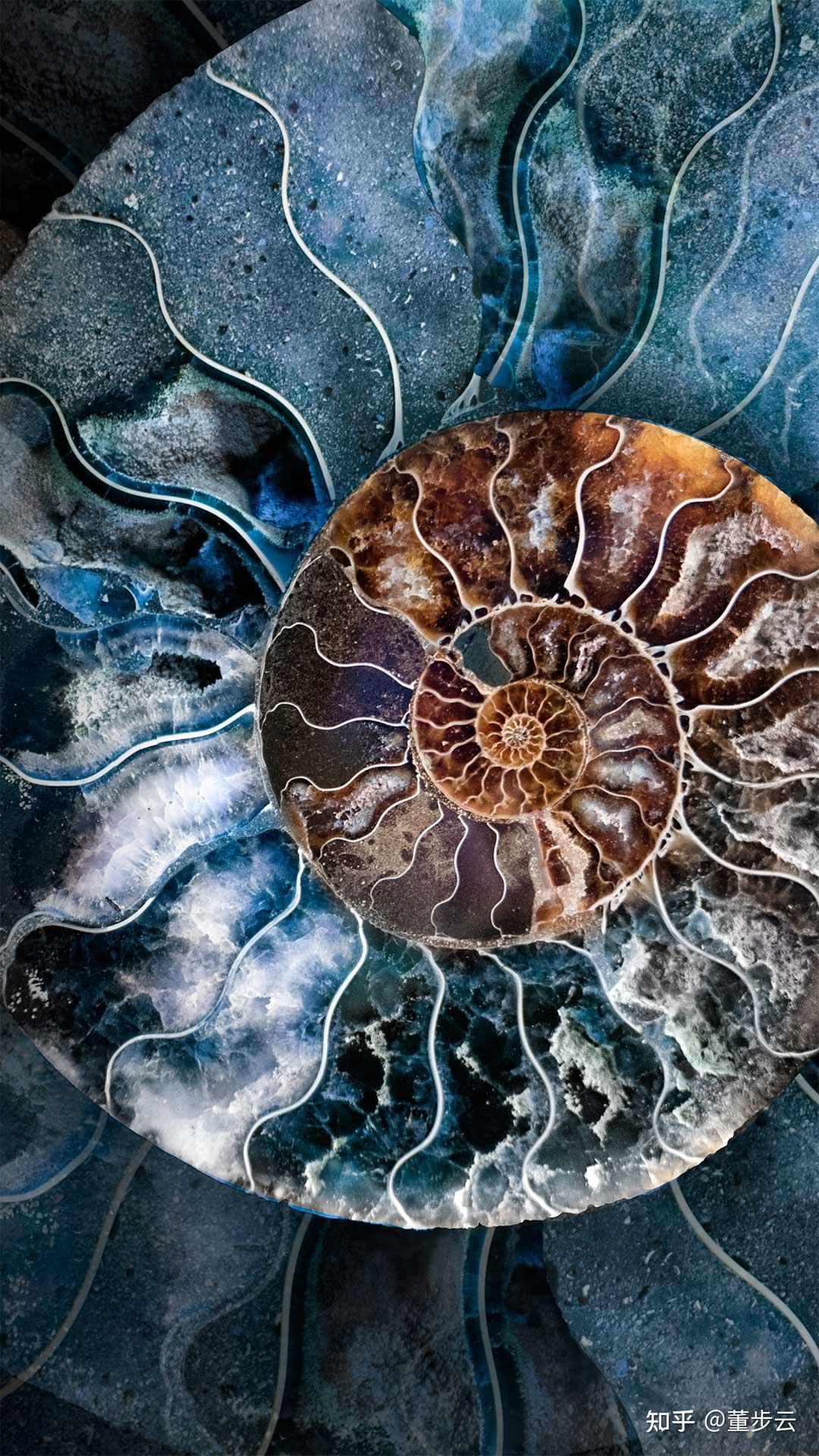 文化的六维 霍夫斯泰德 - 知乎