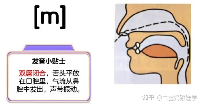 【跟娃学音标】必知必会!英语国际音标里的其它辅音、鼻音、舌侧音、半元音,共6个全解析 - 知乎