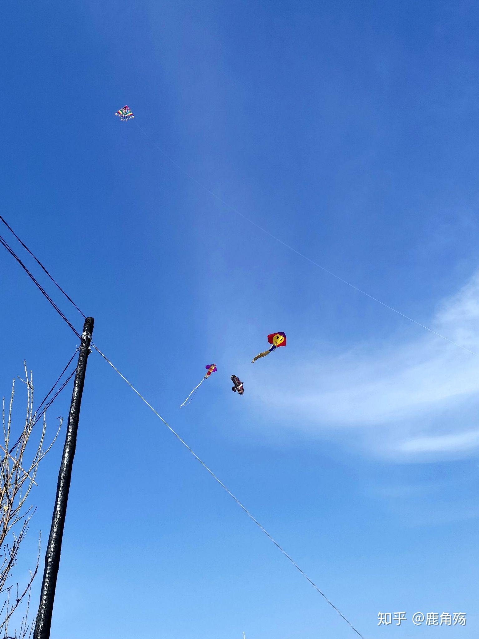风筝- 知乎