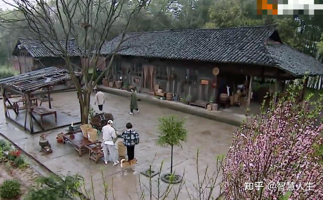《向往的生活》蘑菇屋被曝光,改造后焕然一新,设备齐全环境宜人