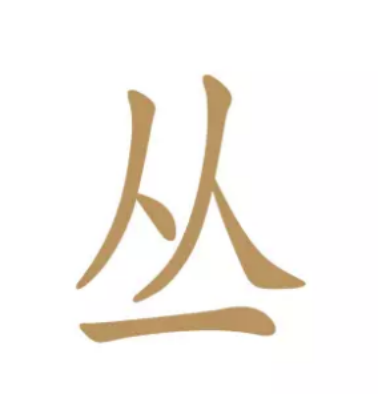 凤凰单cong丛还是枞