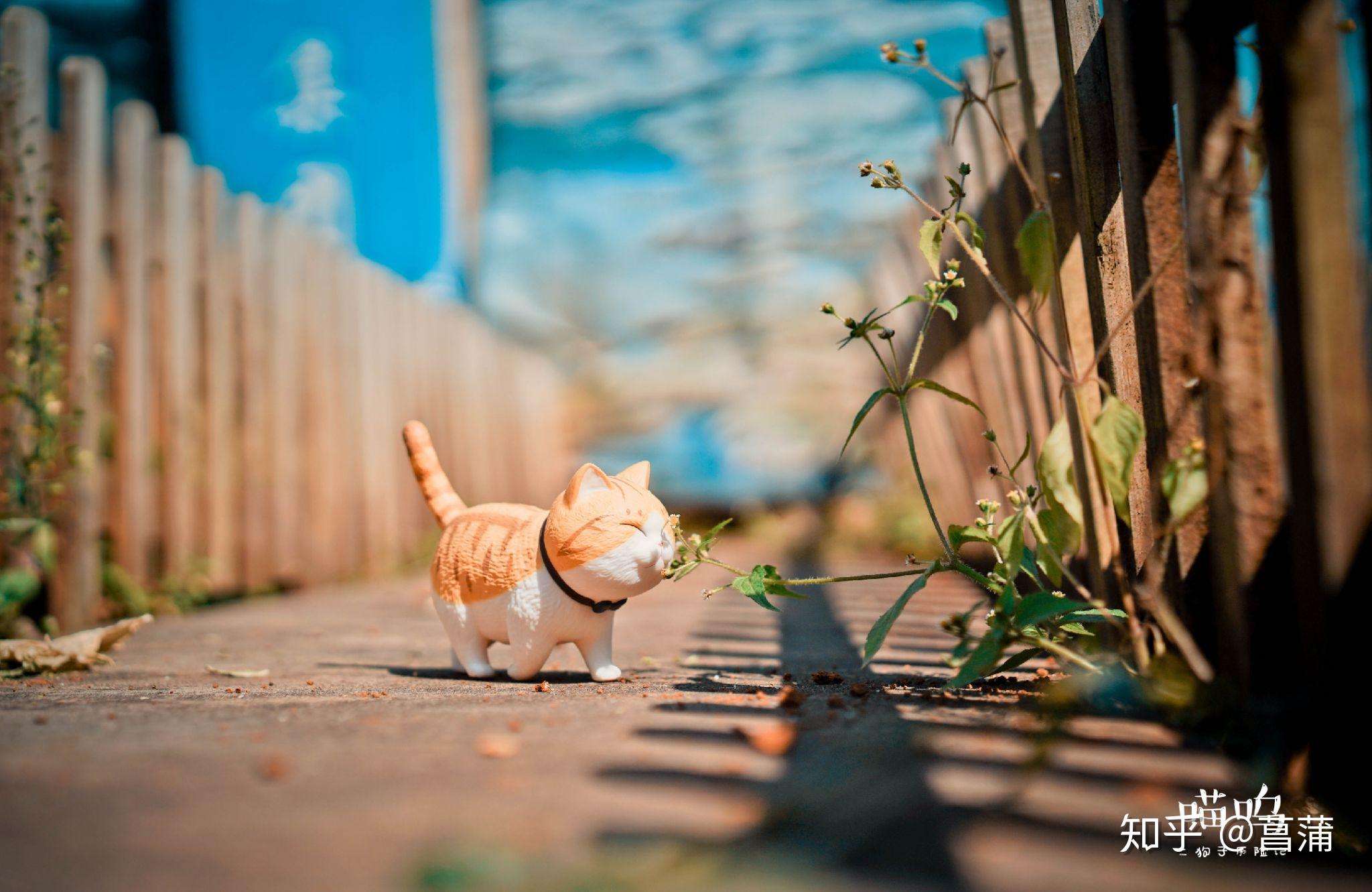 在你的摄影生涯里,用50mm定焦镜头拍出过哪些满意的作品?