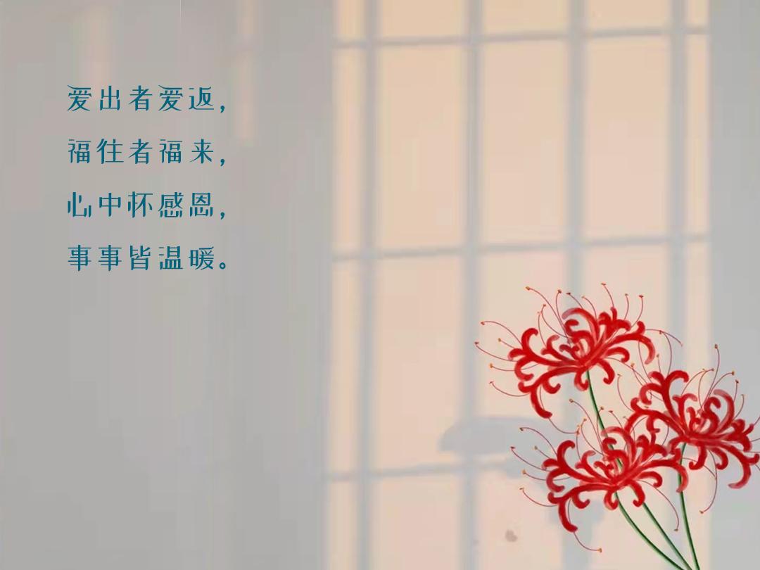 感恩节朋友圈文案句句温暖走心