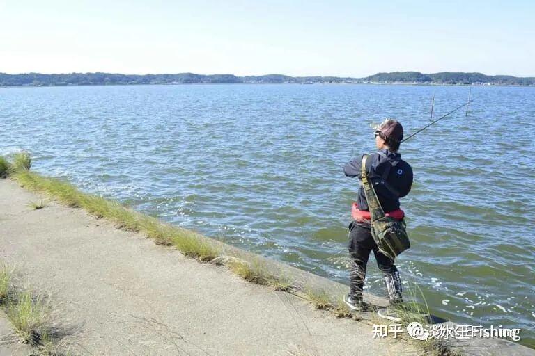 路亚·技能丨琵琶湖当红导钓使用巻物挑战霞ヶ浦水系（中）【永野总一朗】 知乎