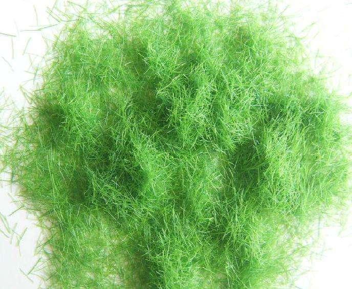 每个rapper都是潜在的草粉怪