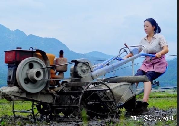 乡愁沈丹为何那么火?从离异妇女到千万网红,她到底经历了什么? - 知乎