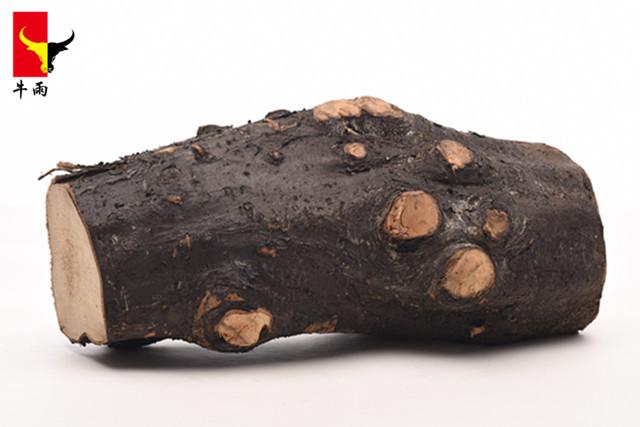 senarai biasiswa untuk ijazah sarjana muda 2017