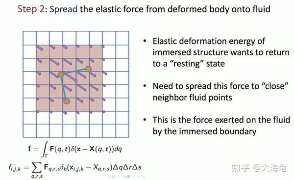 浸入边界法 (Immersed Boundary Method) - 知乎